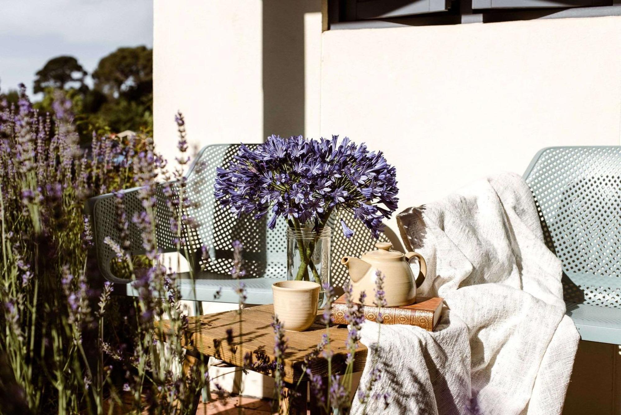 The Studios By Manna, Ascend Hotel Collection Hahndorf Extérieur photo