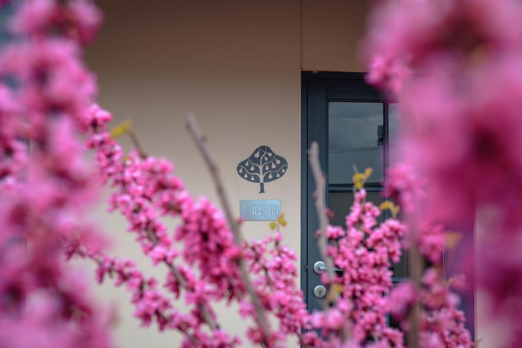 The Studios By Manna, Ascend Hotel Collection Hahndorf Extérieur photo